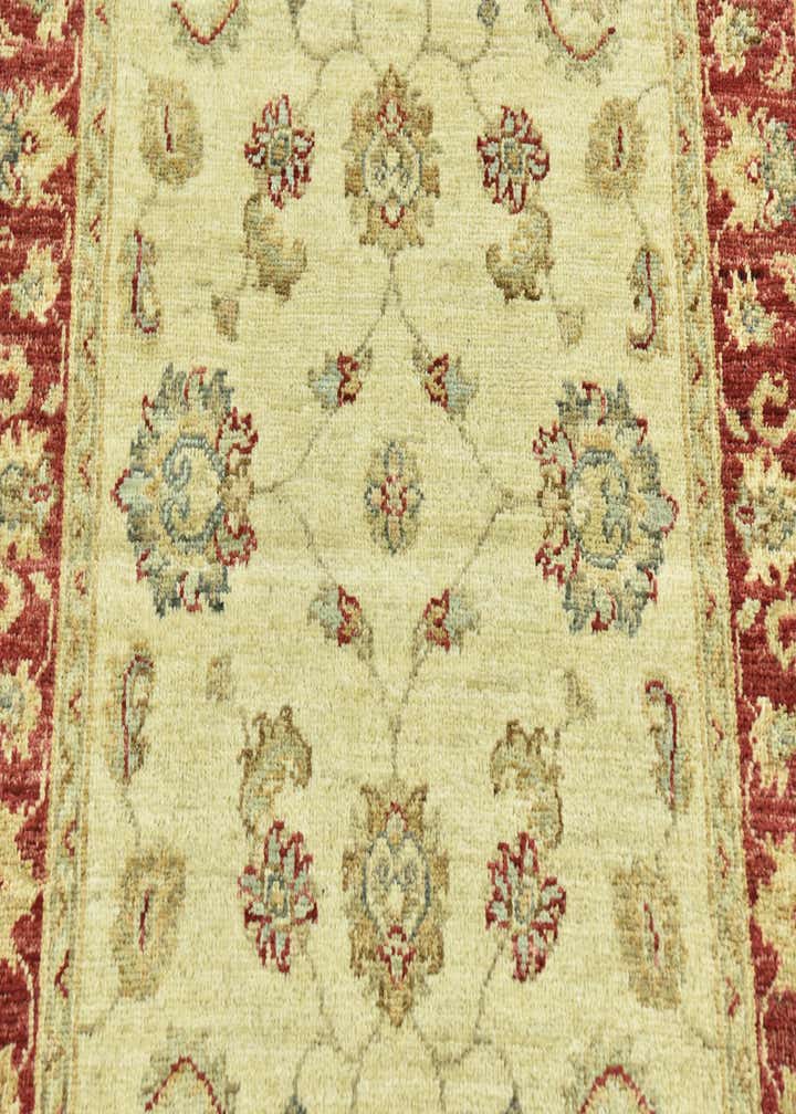 2' 6 x 9' 7 Hand Knotted Peshawar Ziegler Runner Rug