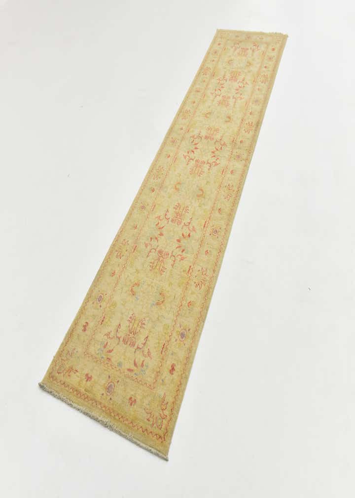 2' 7 x 10' 4 Hand Knotted Peshawar Ziegler Runner Rug