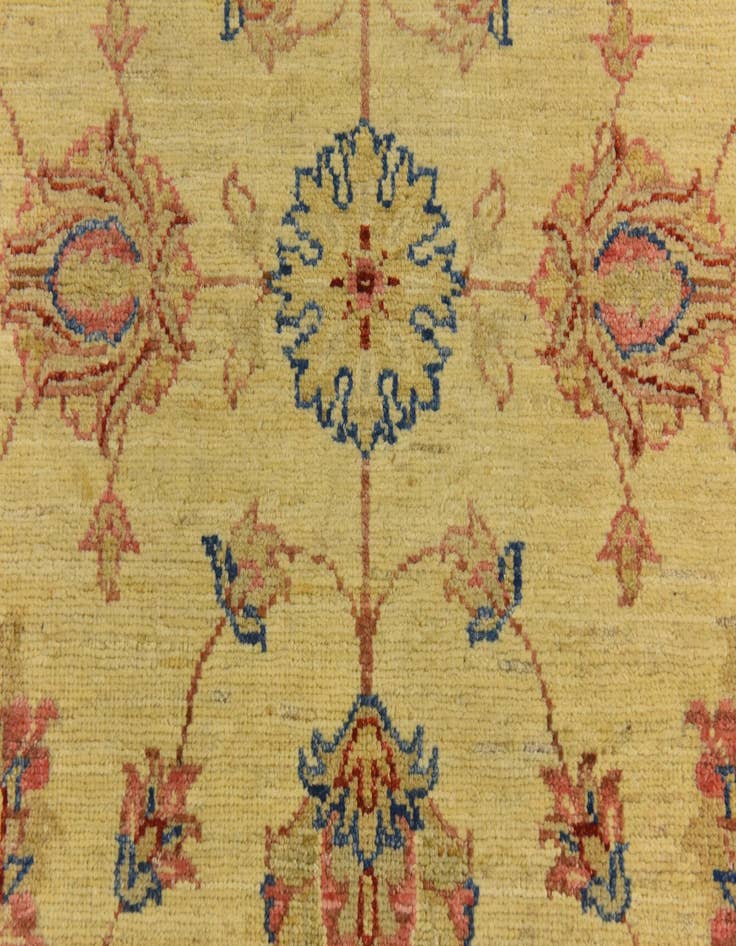 Detail image of 2' 8 x 9' 8  Hand Knotted Peshawar Ziegler Runner Rug