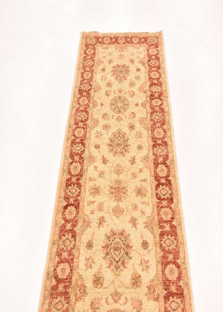 2' 10 x 9' 10 Hand Knotted Peshawar Ziegler Runner Rug