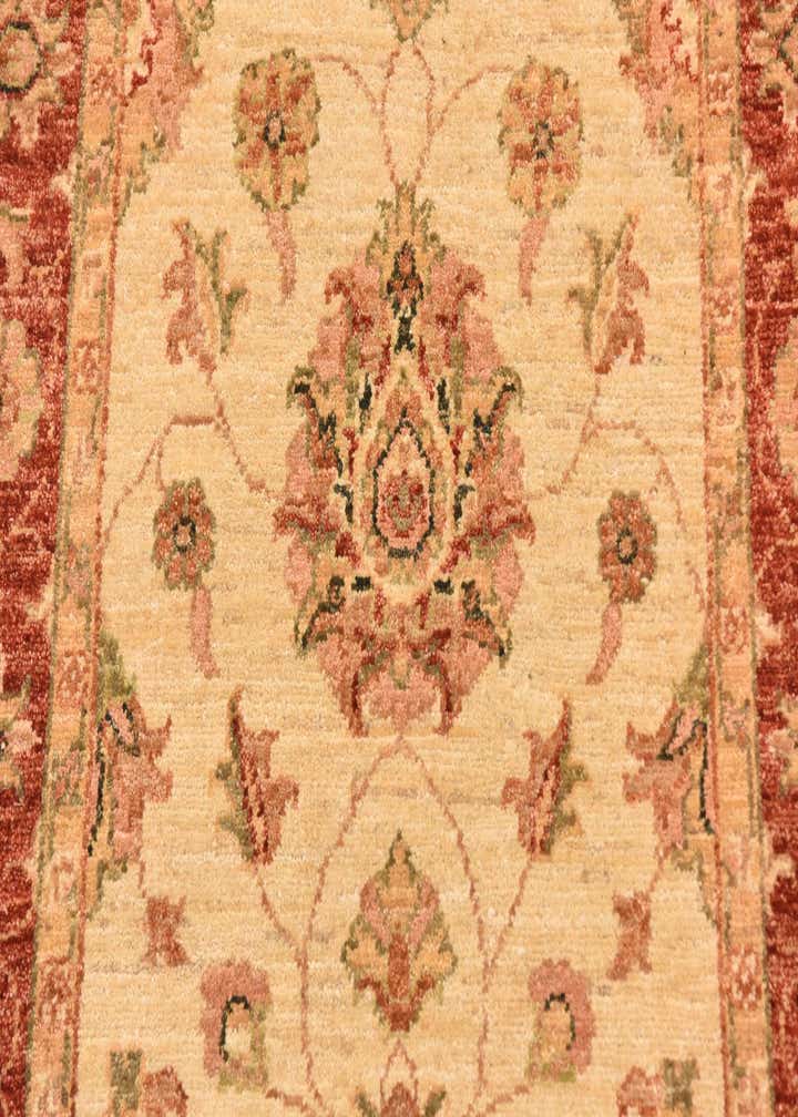 2' 10 x 9' 10 Hand Knotted Peshawar Ziegler Runner Rug