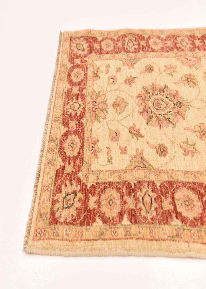 2' 10 x 9' 10 Hand Knotted Peshawar Ziegler Runner Rug