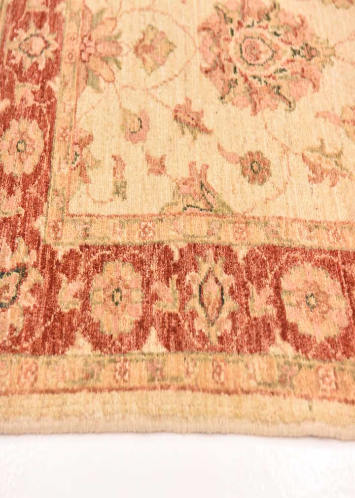 2' 10 x 9' 10 Hand Knotted Peshawar Ziegler Runner Rug