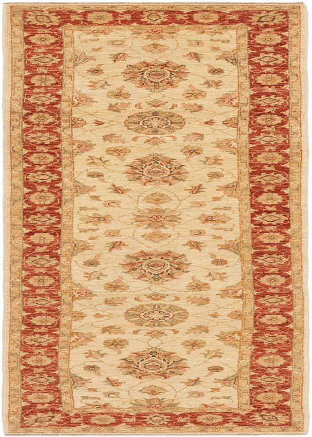 2' 10 x 9' 10 Hand Knotted Peshawar Ziegler Runner Rug