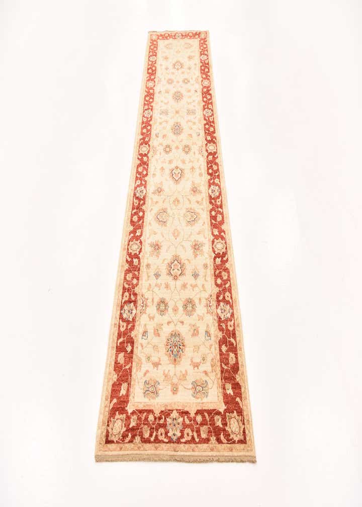 2' 9 x 10' 1 Hand Knotted Peshawar Ziegler Runner Rug