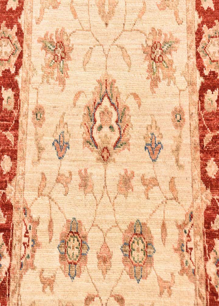 2' 9 x 10' 1 Hand Knotted Peshawar Ziegler Runner Rug