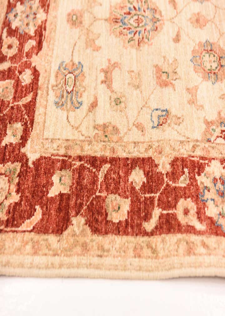 2' 9 x 10' 1 Hand Knotted Peshawar Ziegler Runner Rug