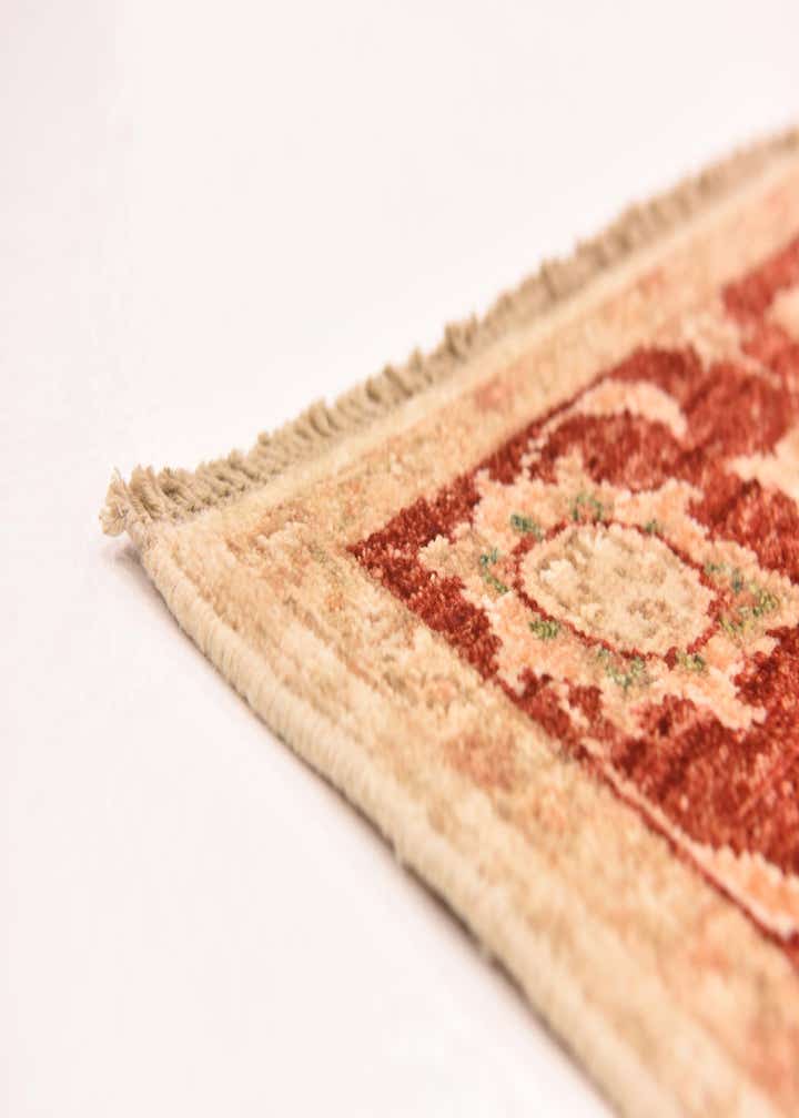 2' 9 x 10' 1 Hand Knotted Peshawar Ziegler Runner Rug