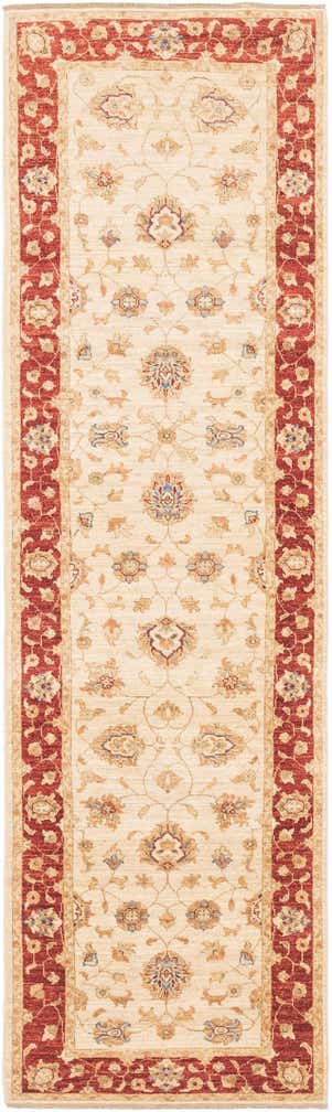 2' 9 x 10' 1 Hand Knotted Peshawar Ziegler Runner Rug
