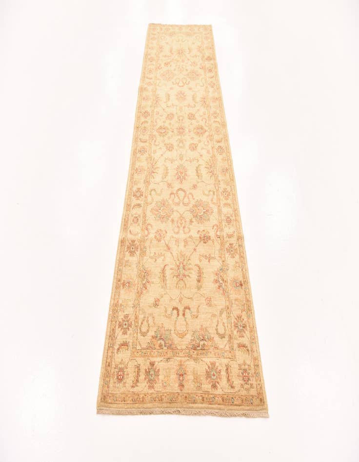 Detail image of 2' 11 x 10' 2  Hand Knotted Peshawar Ziegler Runner Rug