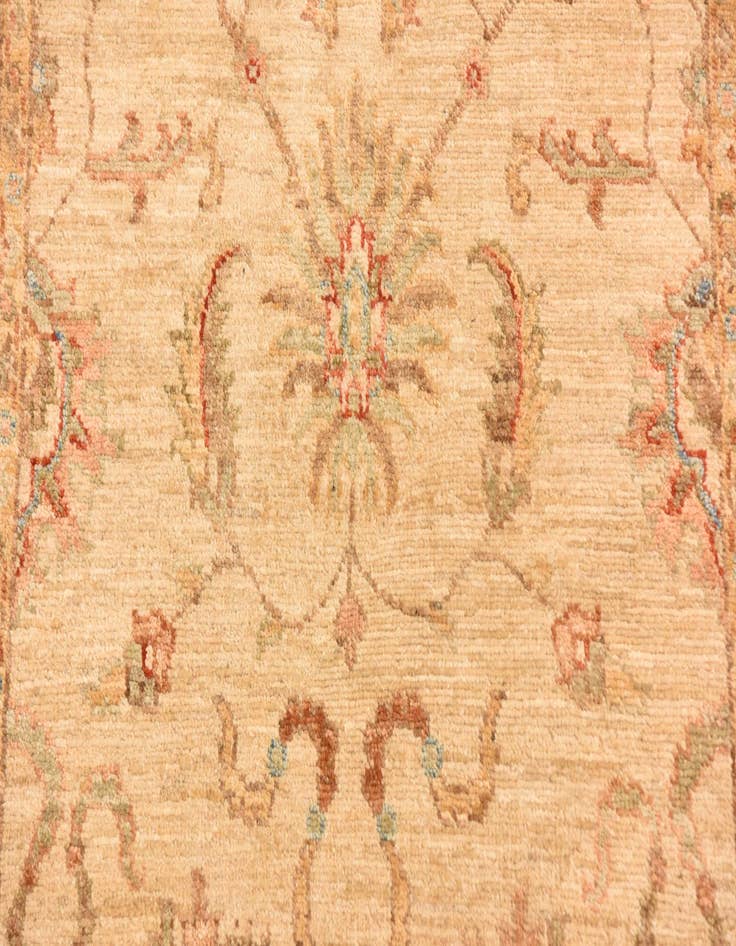 Detail image of 2' 11 x 10' 2  Hand Knotted Peshawar Ziegler Runner Rug
