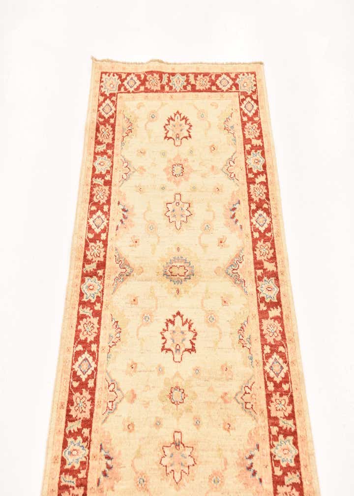 2' 9 x 9' 8 Hand Knotted Peshawar Ziegler Runner Rug