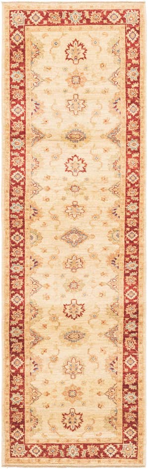Detail image of 2' 9 x 9' 8 Hand Knotted Peshawar Ziegler Runner Rug
