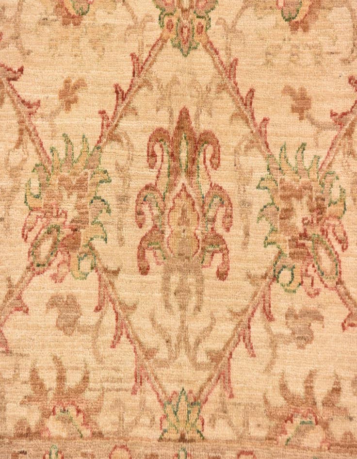 Detail image of 5' x 9' 6  Hand Knotted Peshawar Ziegler Runner Rug