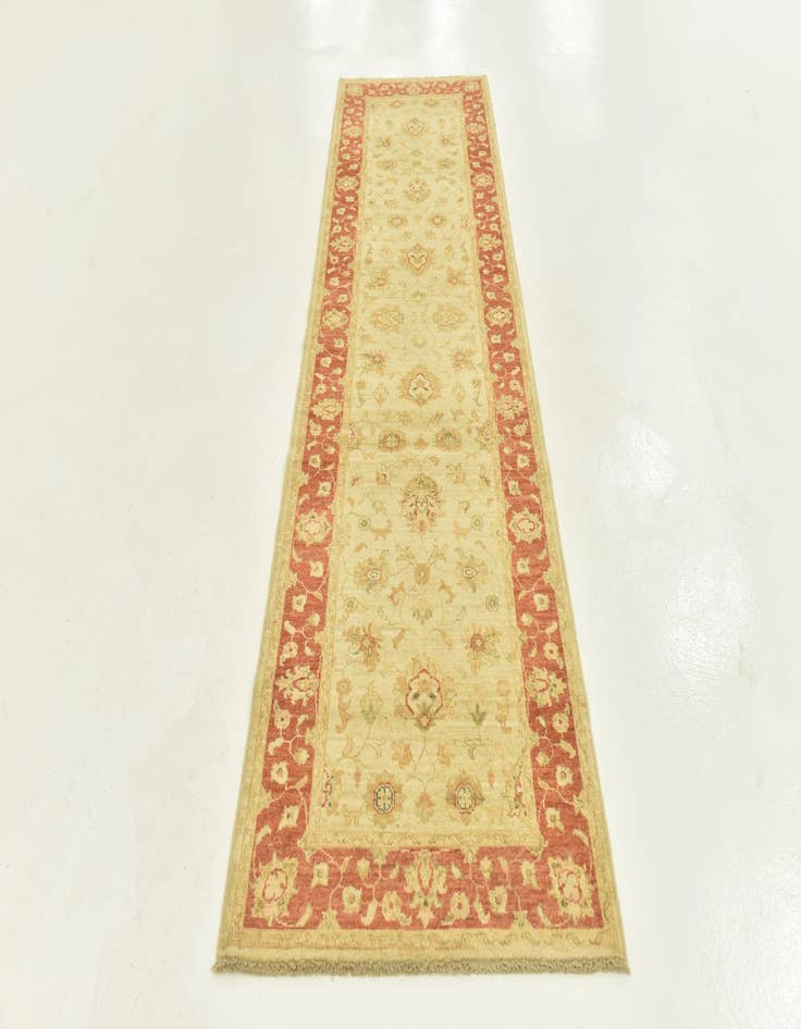 Detail image of 2' 9 x 9' 9 Hand Knotted Peshawar Ziegler Runner Rug