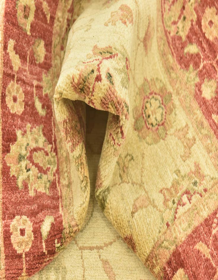 Detail image of 2' 9 x 10'  Hand Knotted Peshawar Ziegler Runner Rug