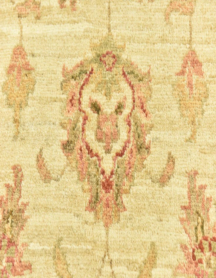 Detail image of 2' 10 x 9' 9  Hand Knotted Peshawar Ziegler Runner Rug