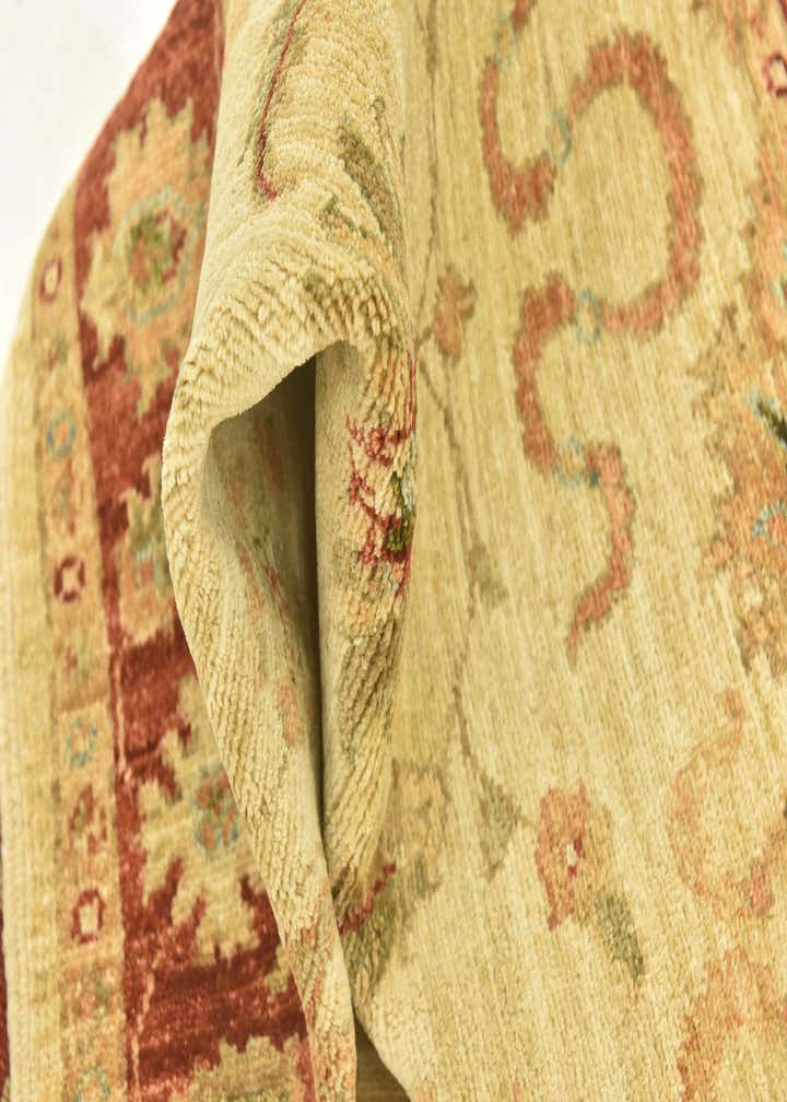 3' x 9' 7 Hand Knotted Peshawar Ziegler Runner Rug