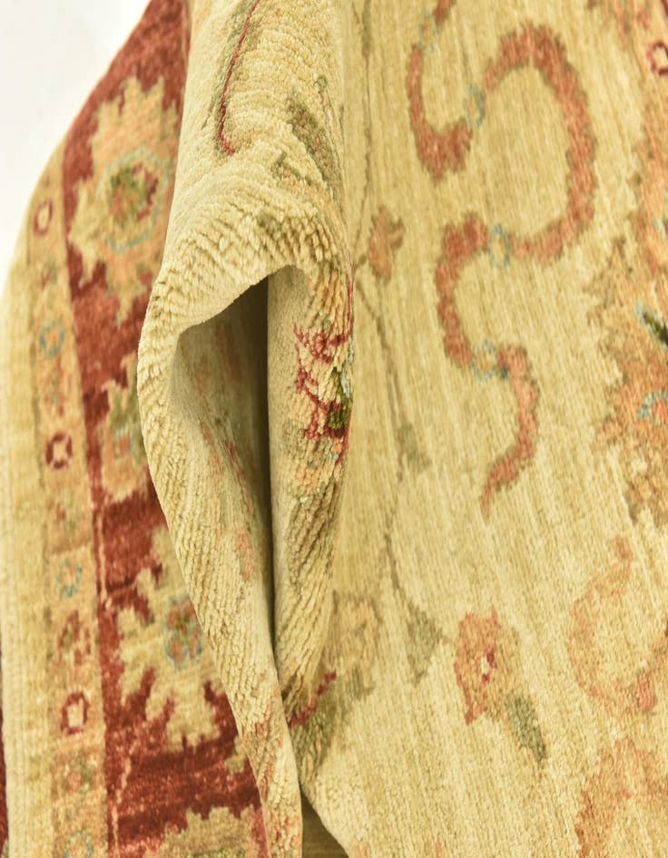 Detail image of 3' x 9' 7  Hand Knotted Peshawar Ziegler Runner Rug