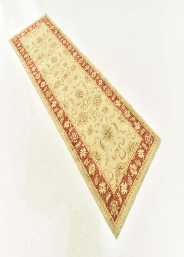 3' x 9' 7 Hand Knotted Peshawar Ziegler Runner Rug