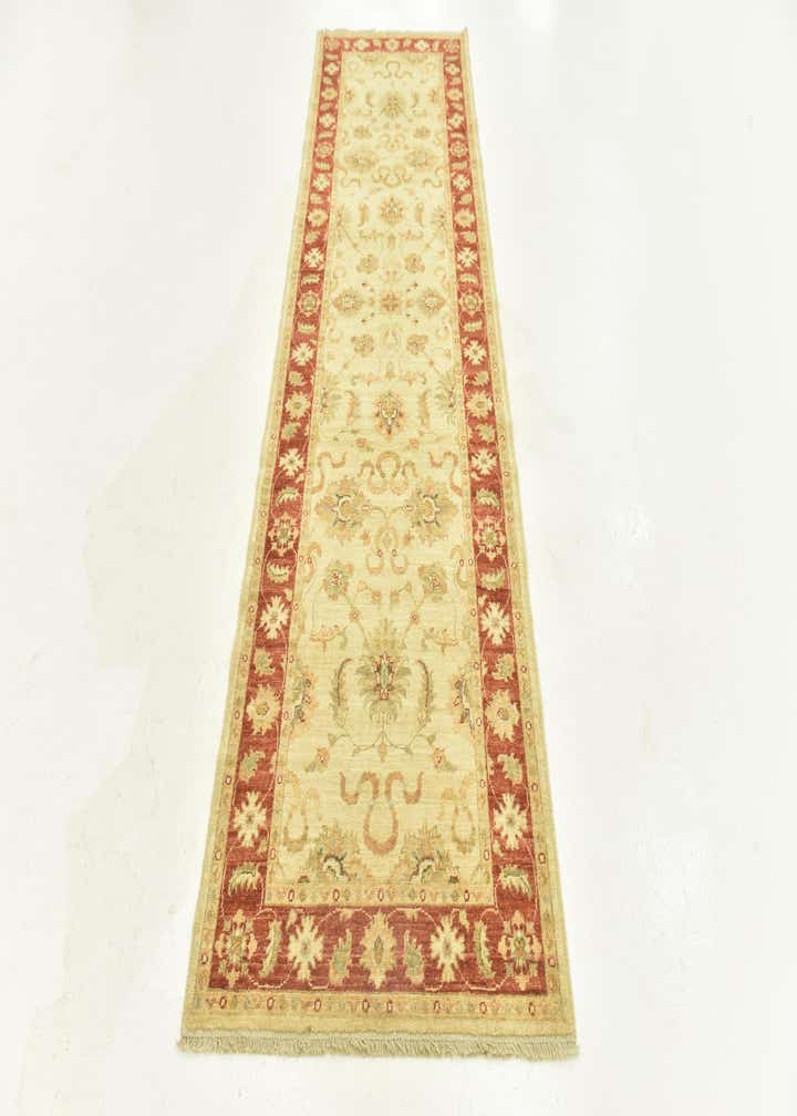 3' x 9' 7 Hand Knotted Peshawar Ziegler Runner Rug
