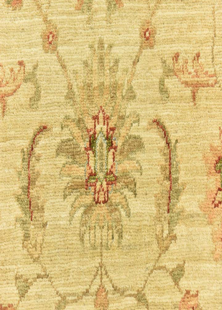3' x 9' 7 Hand Knotted Peshawar Ziegler Runner Rug