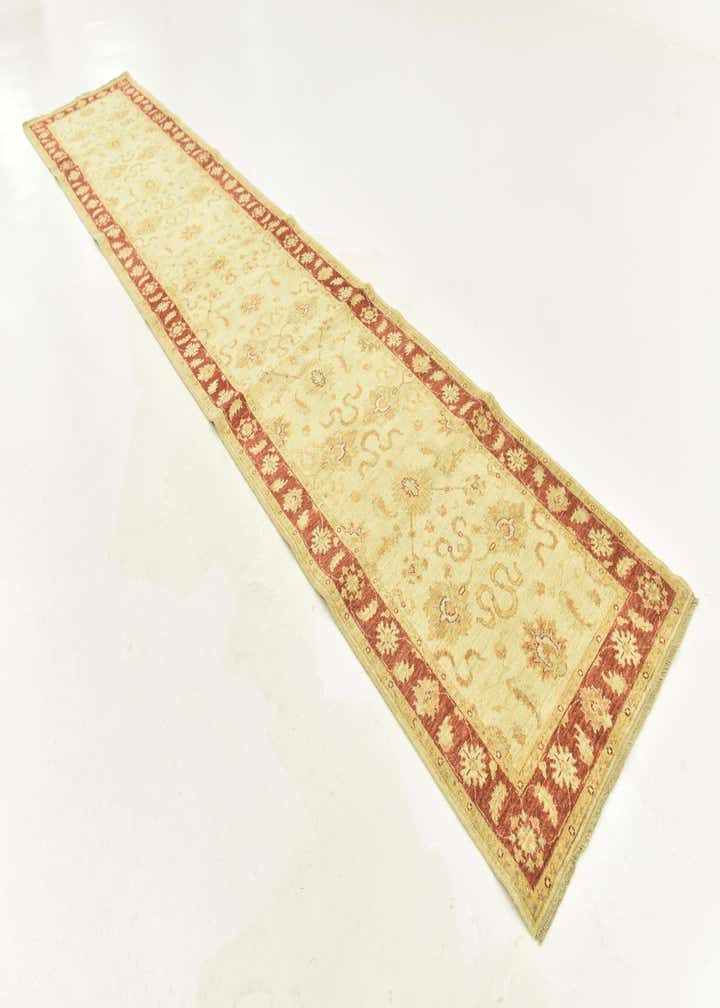 3' 1 x 16' 3 Hand Knotted Peshawar Ziegler Runner Rug