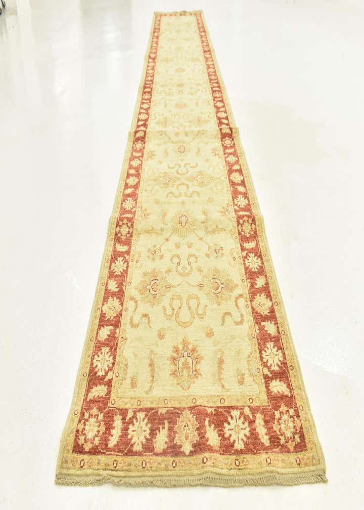 3' 1 x 16' 3 Hand Knotted Peshawar Ziegler Runner Rug