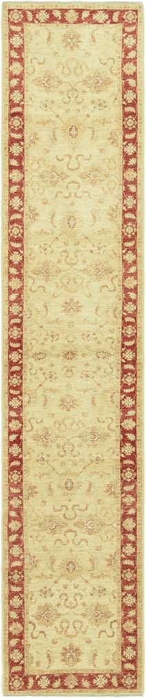 3' 1 x 16' 3 Hand Knotted Peshawar Ziegler Runner Rug