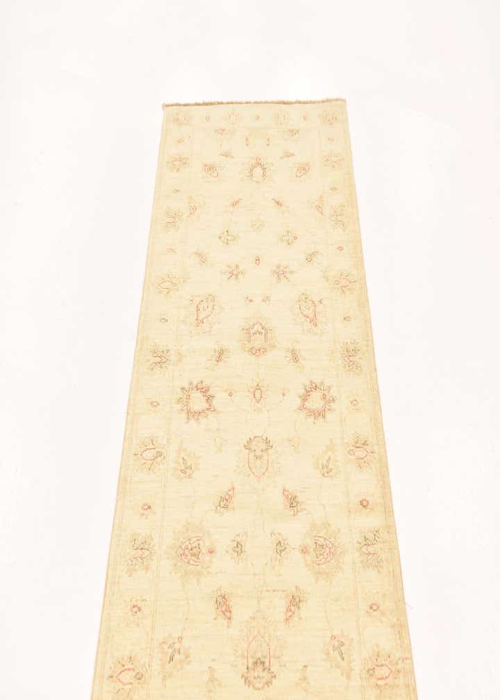 2' 8 x 9' 9 Hand Knotted Peshawar Ziegler Runner Rug
