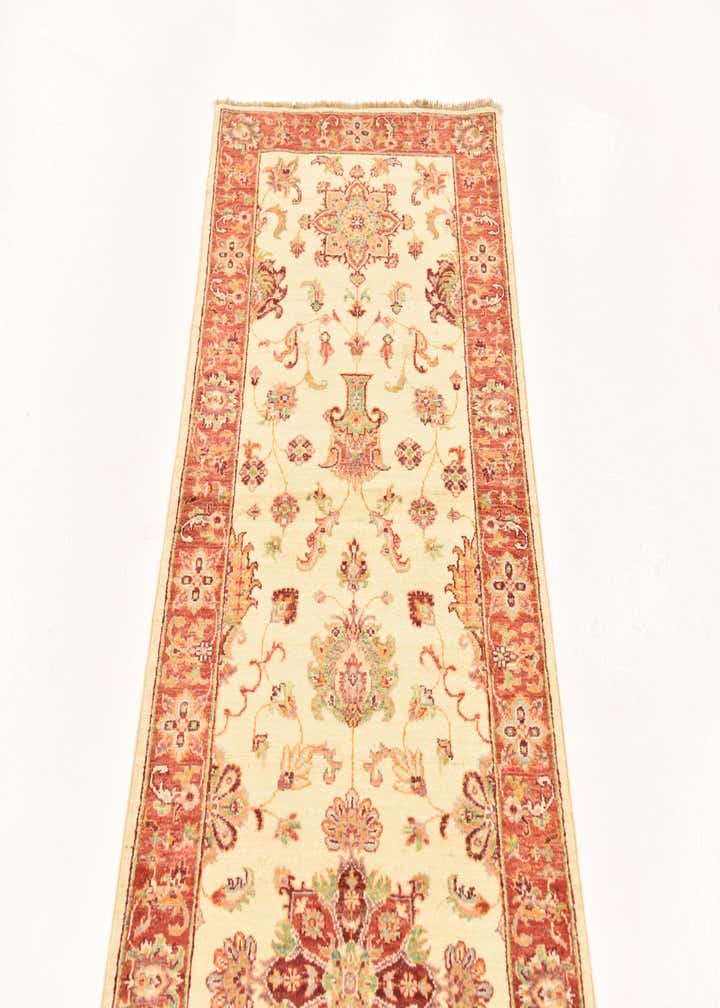 2' 8 x 9' 10 Hand Knotted Peshawar Ziegler Runner Rug