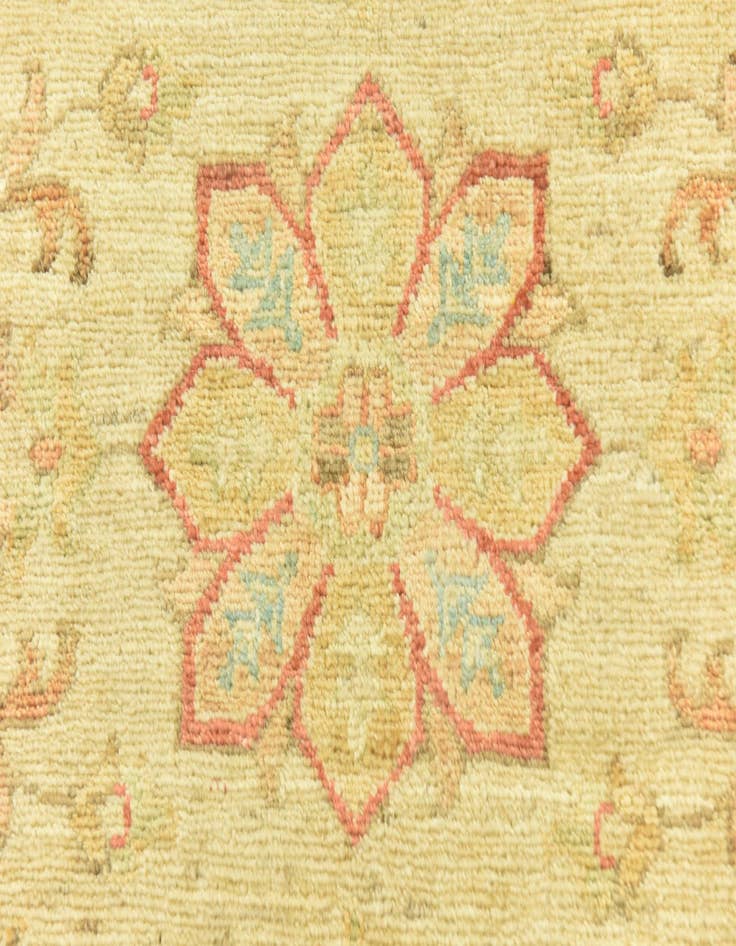 Detail image of 2' 6 x 6' 5  Hand Knotted Peshawar Ziegler Runner Rug