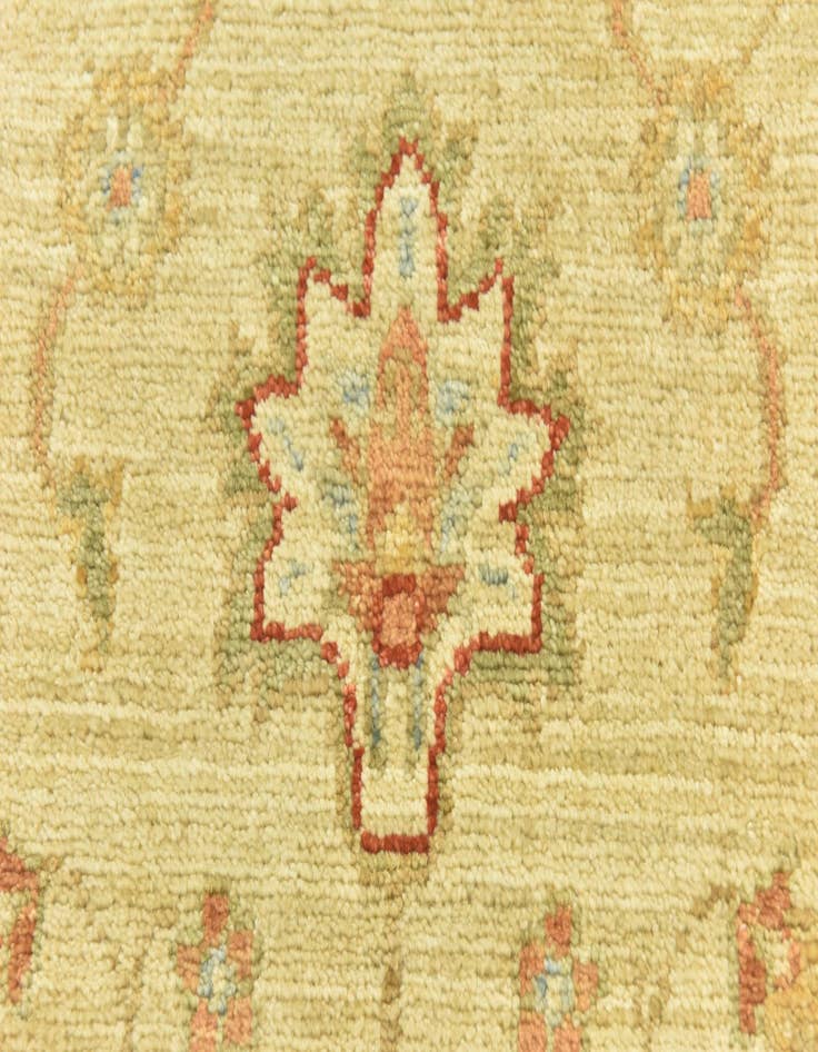 Detail image of 2' 7 x 6' 10  Hand Knotted Peshawar Ziegler Runner Rug