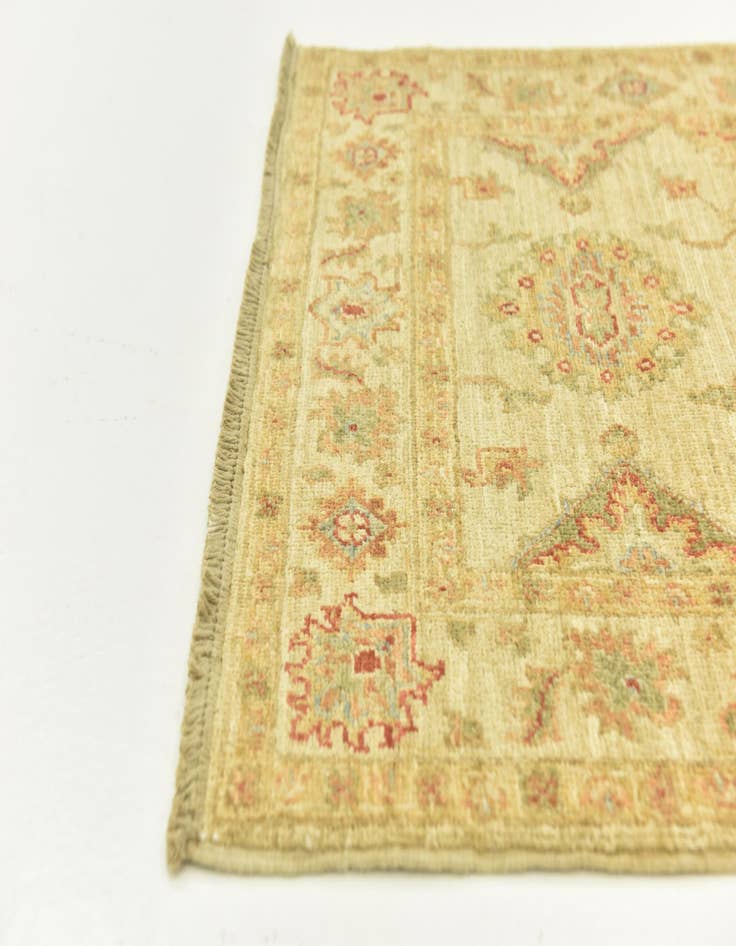 Detail image of 2' 7 x 6' 10  Hand Knotted Peshawar Ziegler Runner Rug