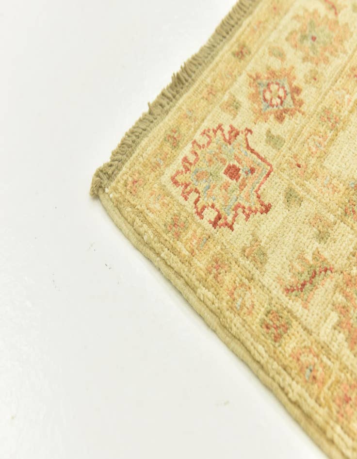 Detail image of 2' 7 x 6' 10  Hand Knotted Peshawar Ziegler Runner Rug