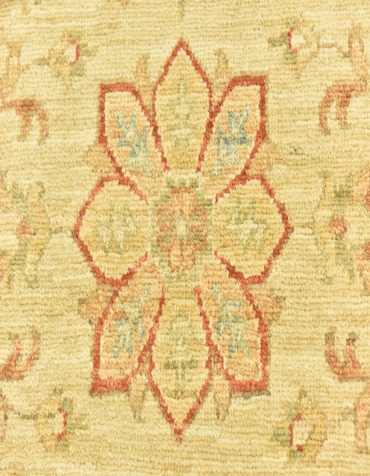 Detail image of 2' 6 x 6' 5  Hand Knotted Peshawar Ziegler Runner Rug