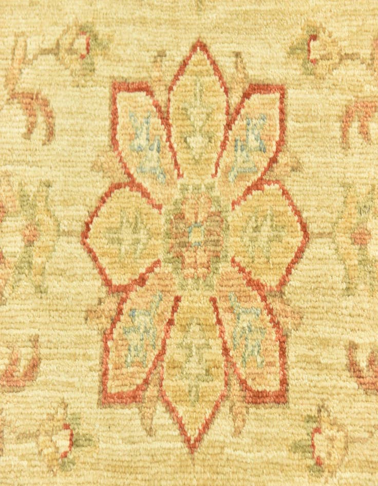 Detail image of 2' 6 x 6' 5  Hand Knotted Peshawar Ziegler Runner Rug