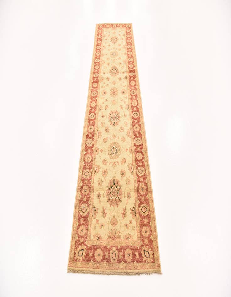 Detail image of 2' 7 x 9' 6  Hand Knotted Peshawar Ziegler Runner Rug