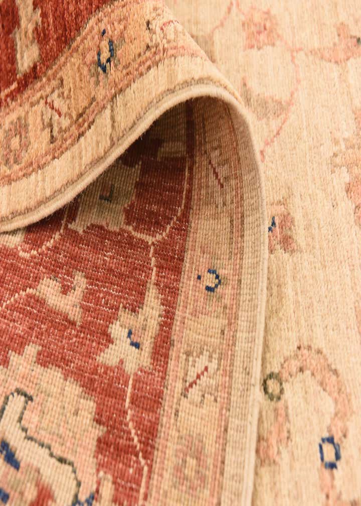 5' 6 x 19' 8 Hand Knotted Peshawar Ziegler Runner Rug