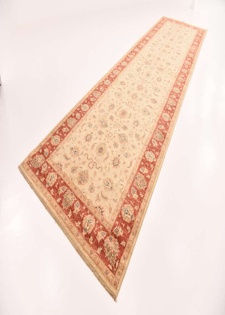 5' 6 x 19' 8 Hand Knotted Peshawar Ziegler Runner Rug