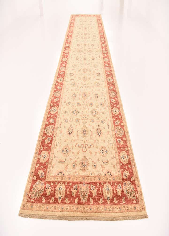 5' 6 x 19' 8 Hand Knotted Peshawar Ziegler Runner Rug