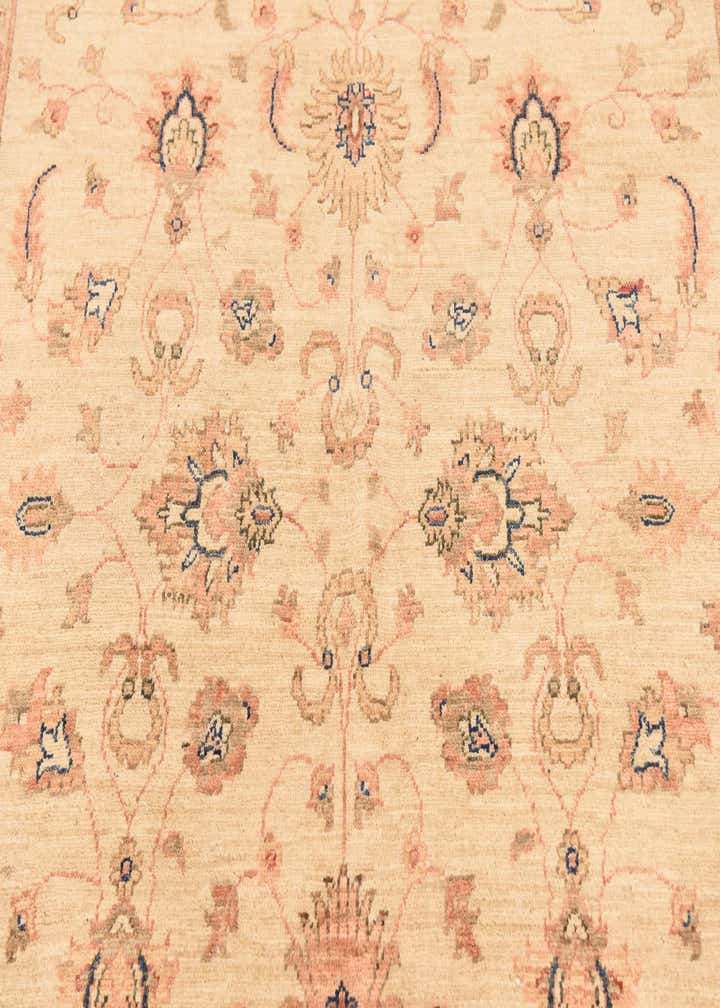 5' 6 x 19' 8 Hand Knotted Peshawar Ziegler Runner Rug