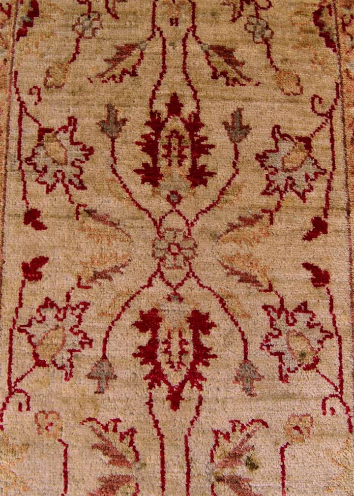 2' 10 x 11' 10 Hand Knotted Peshawar Ziegler Runner Rug