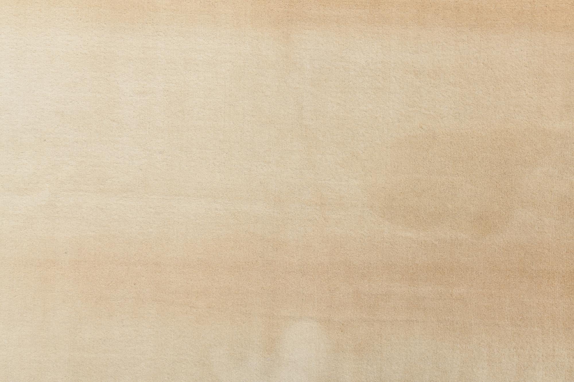 5' 6 x 8' Hand Knotted Darya Wool Rug