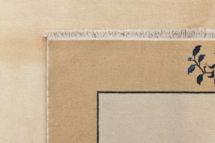 5' 6 x 8' Hand Knotted Darya Wool Rug