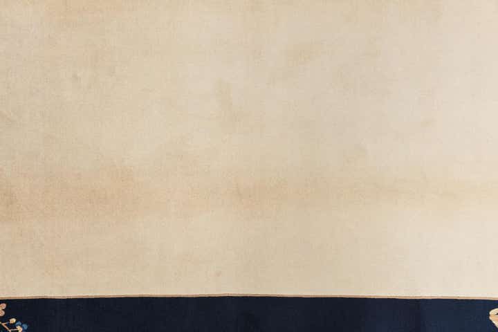 170cm x 245cm Handgeknüpft Darya Wolle Teppich