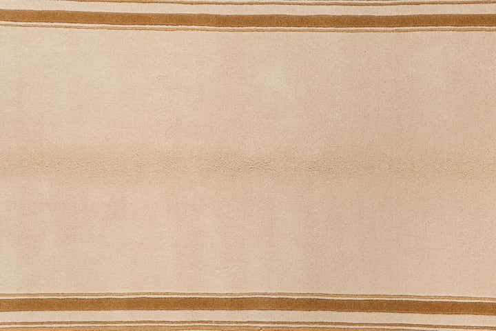 3' 11 x 5' 11 Hand Knotted Darya Wool Rug