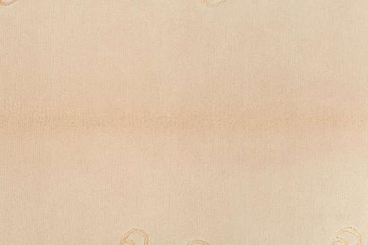 3' 11 x 5' 10 Hand Knotted Darya Wool Rug