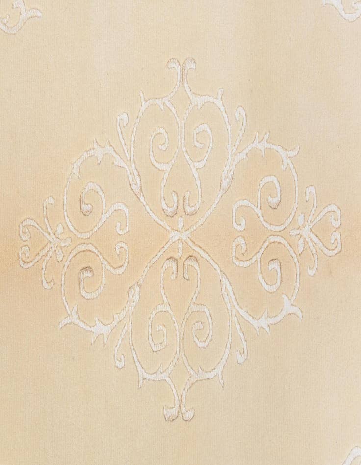 Detail image of 3' 11 x 5' 11  Hand Knotted Darya Wool Rug