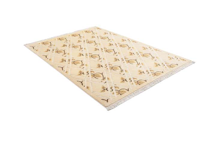 4' 11 x 6' 7 Darya Rug